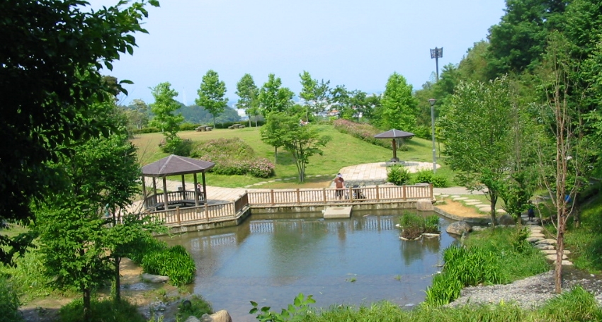 清水精華遊